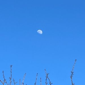 Meet your Posher, Darian